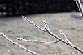 L'Hiver